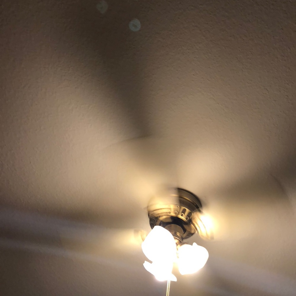 Meet your Posher, Mackenzie